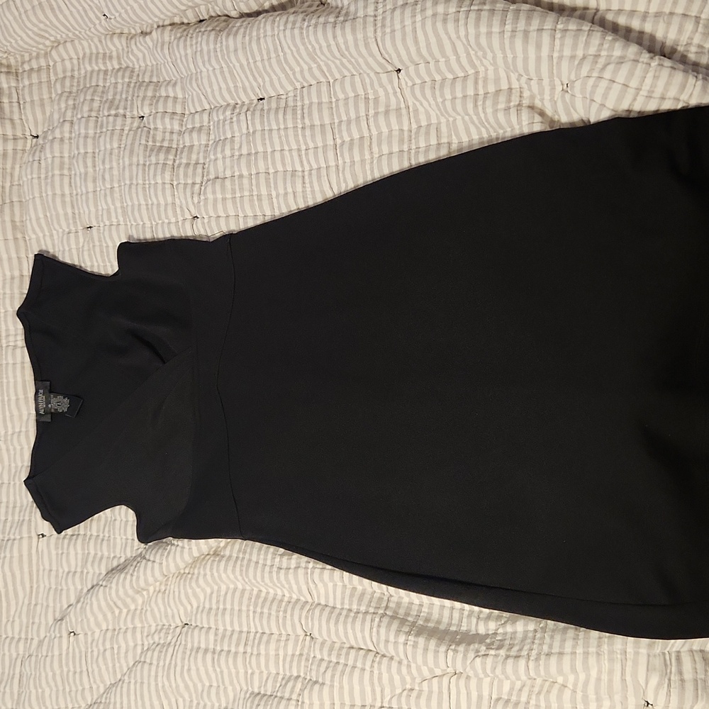 Alyn Paige Black Sleeveless Dress - Picture 3 of 5